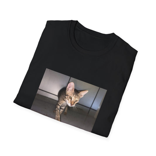 Tabby Cat Graphic T-shirt