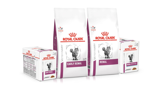 The Ultimate Guide to Royal Canin Renal Support: Supporting Your Cat’s Kidney Health in 2026