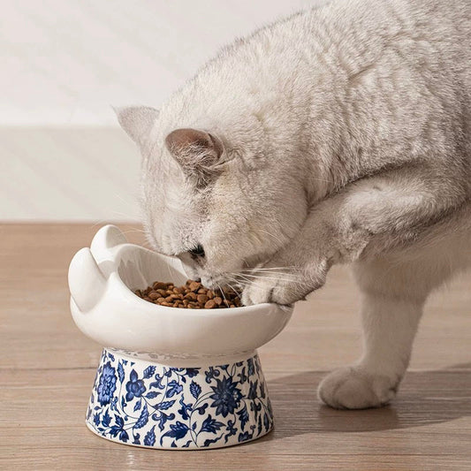 The Complete Raw Diet Beginner Guide for Cats: A Vet-Approved Starter Handbook