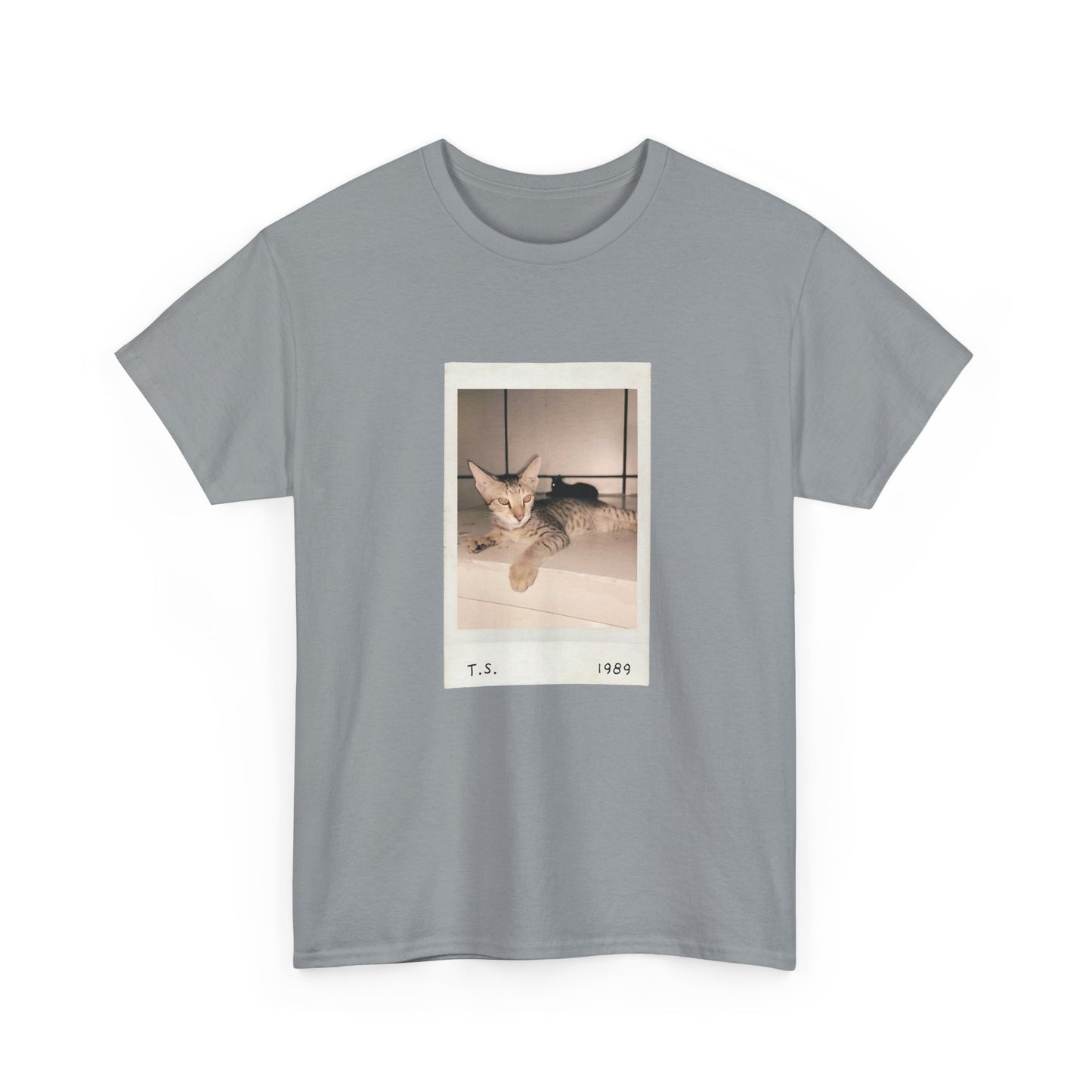 Retro Cat T-shirt | Vintage Pop Music Tee | Cat Lover Gift | Casual Aesthetic Apparel