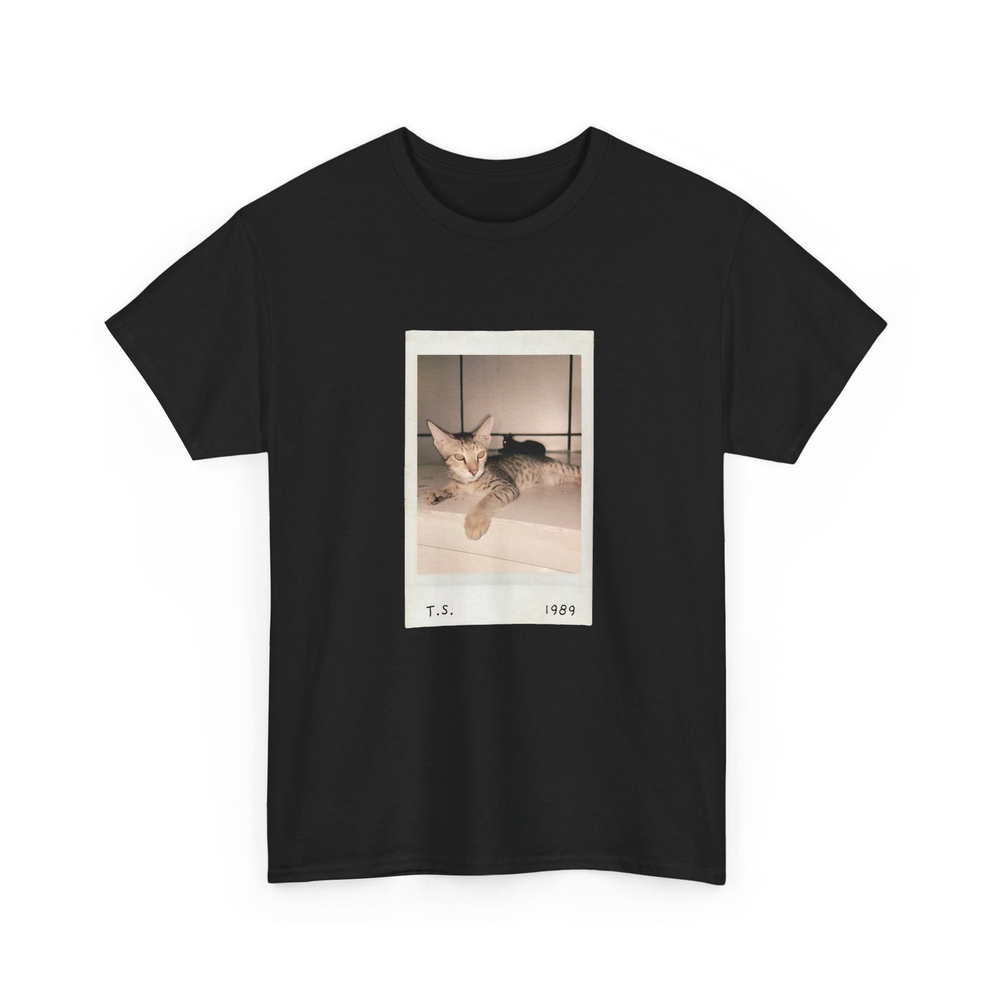 Retro Cat T-shirt | Vintage Pop Music Tee | Cat Lover Gift | Casual Aesthetic Apparel