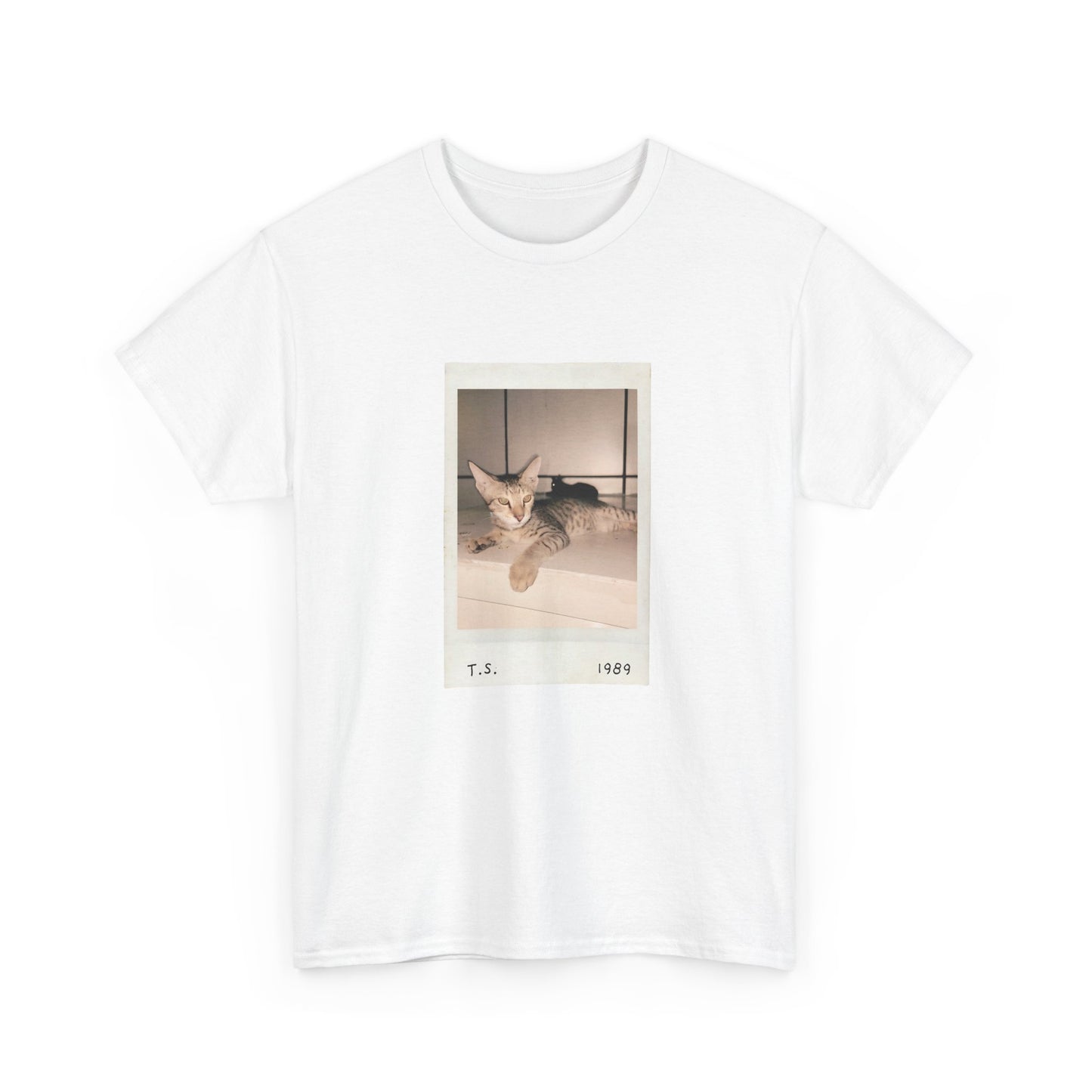 Retro Cat T-shirt | Vintage Pop Music Tee | Cat Lover Gift | Casual Aesthetic Apparel