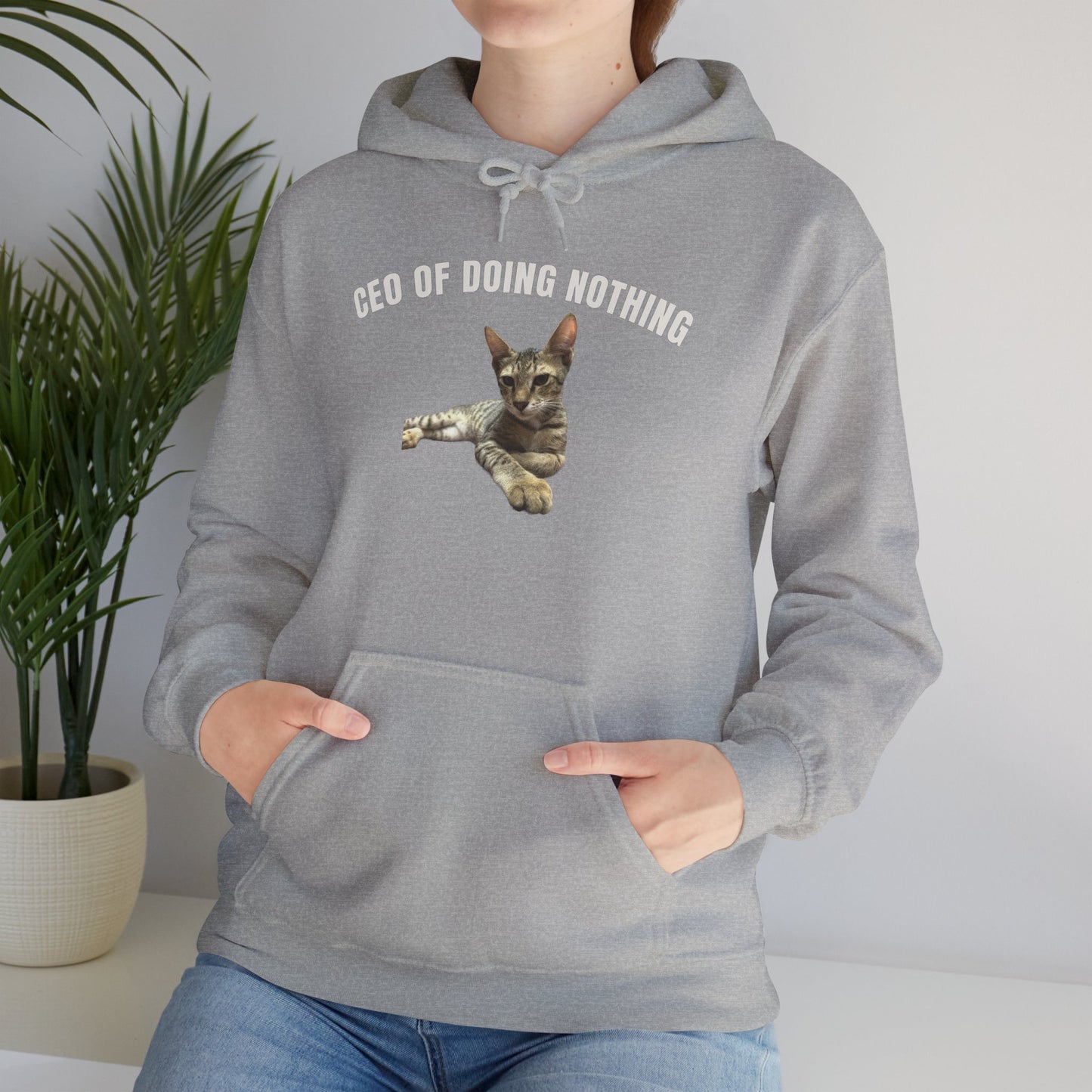 CEO of Doing Nothing The Ultimate Judgy Cat Hoodie