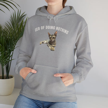 CEO of Doing Nothing The Ultimate Judgy Cat Hoodie