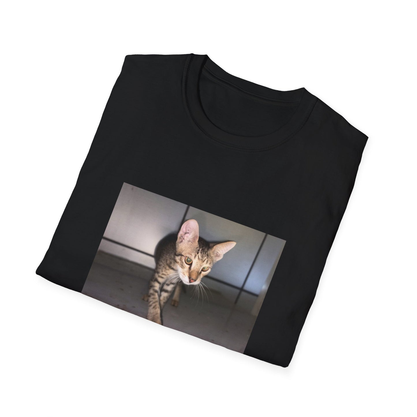 Tabby Cat Graphic T-shirt
