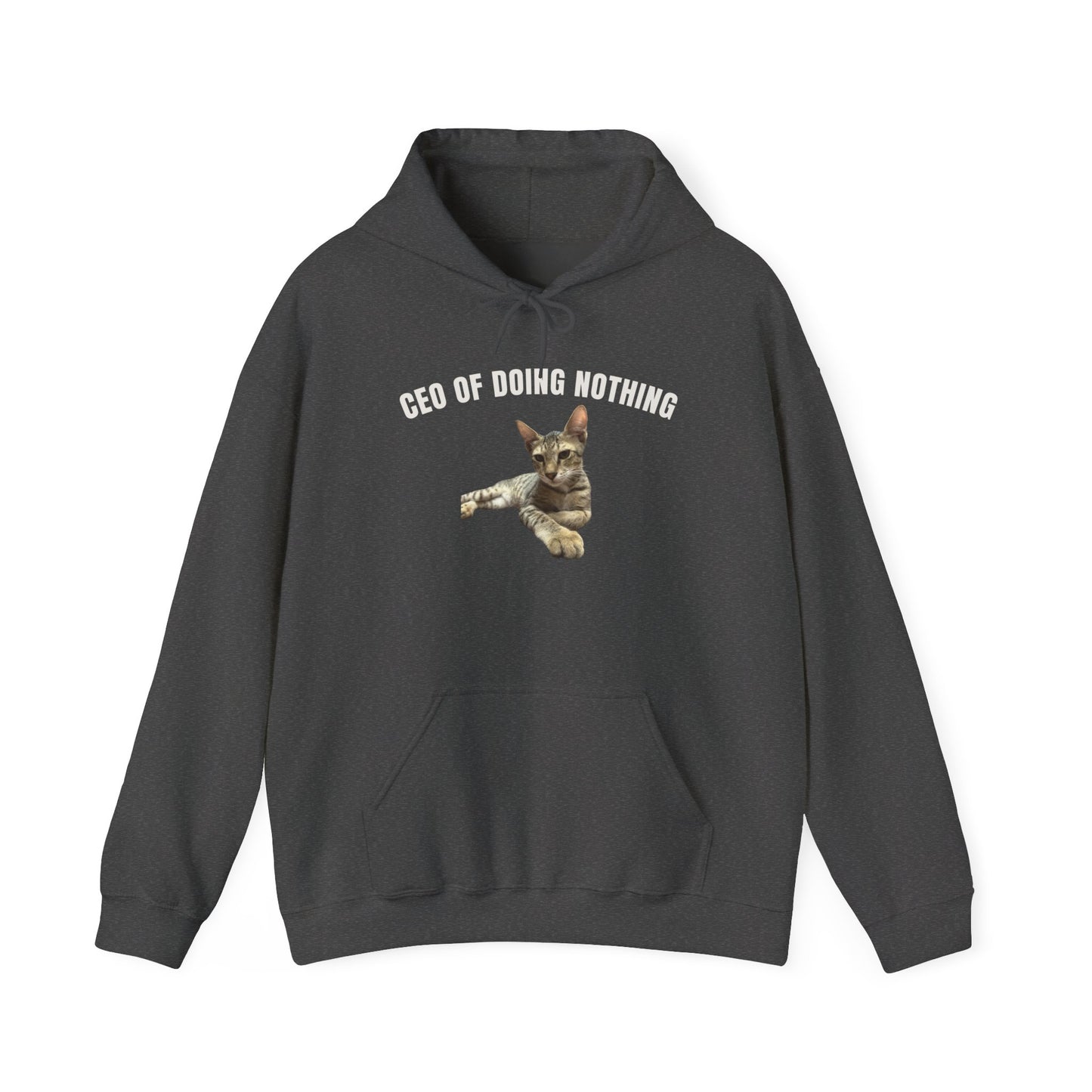 CEO of Doing Nothing The Ultimate Judgy Cat Hoodie