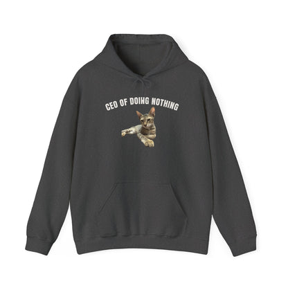 CEO of Doing Nothing The Ultimate Judgy Cat Hoodie