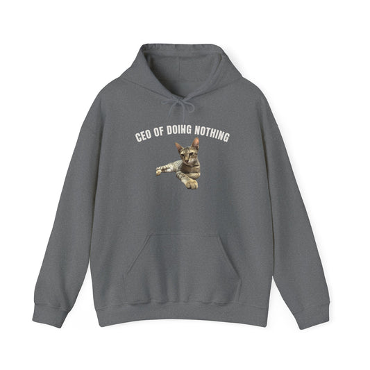 CEO of Doing Nothing The Ultimate Judgy Cat Hoodie