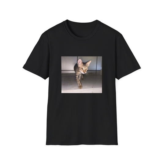 Tabby Cat Graphic T-shirt