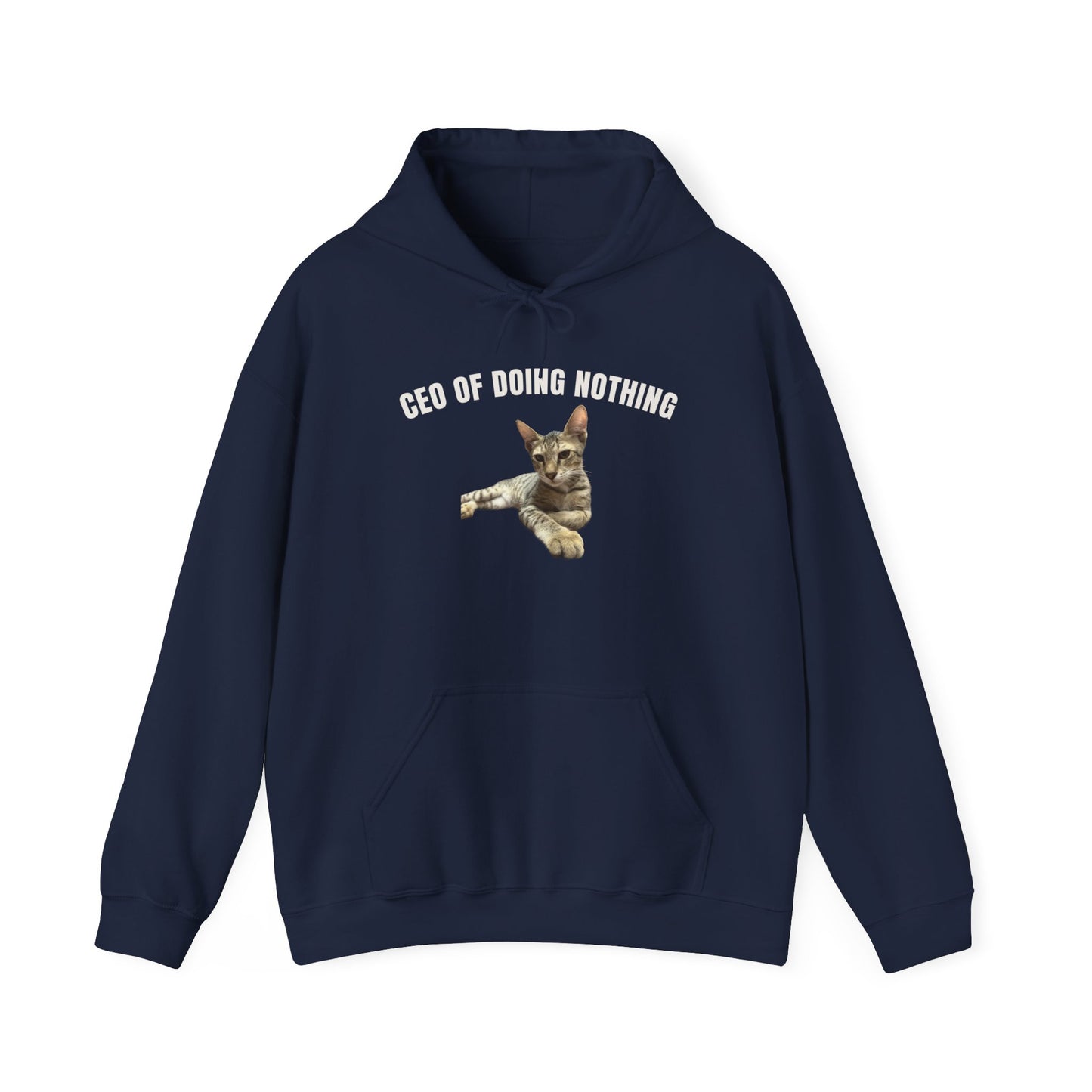 CEO of Doing Nothing The Ultimate Judgy Cat Hoodie