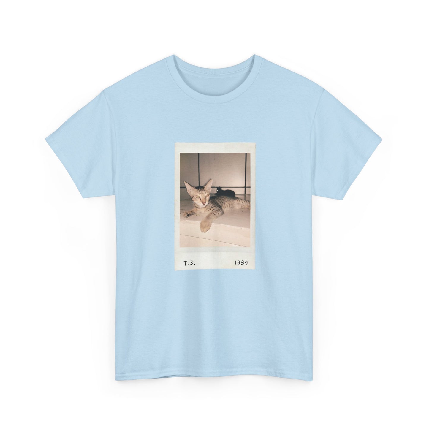 Retro Cat T-shirt | Vintage Pop Music Tee | Cat Lover Gift | Casual Aesthetic Apparel
