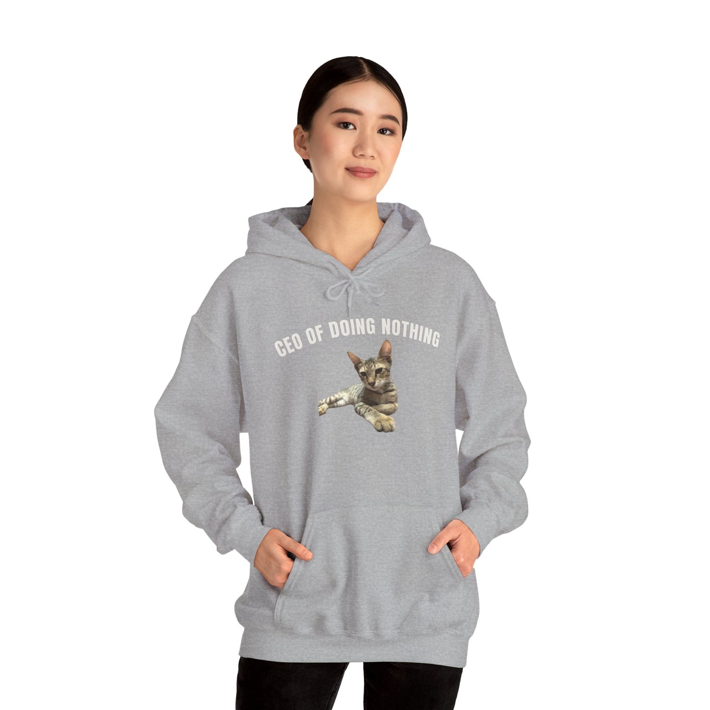 CEO of Doing Nothing The Ultimate Judgy Cat Hoodie