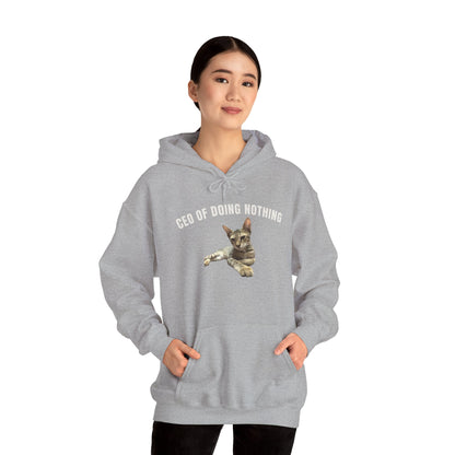CEO of Doing Nothing The Ultimate Judgy Cat Hoodie