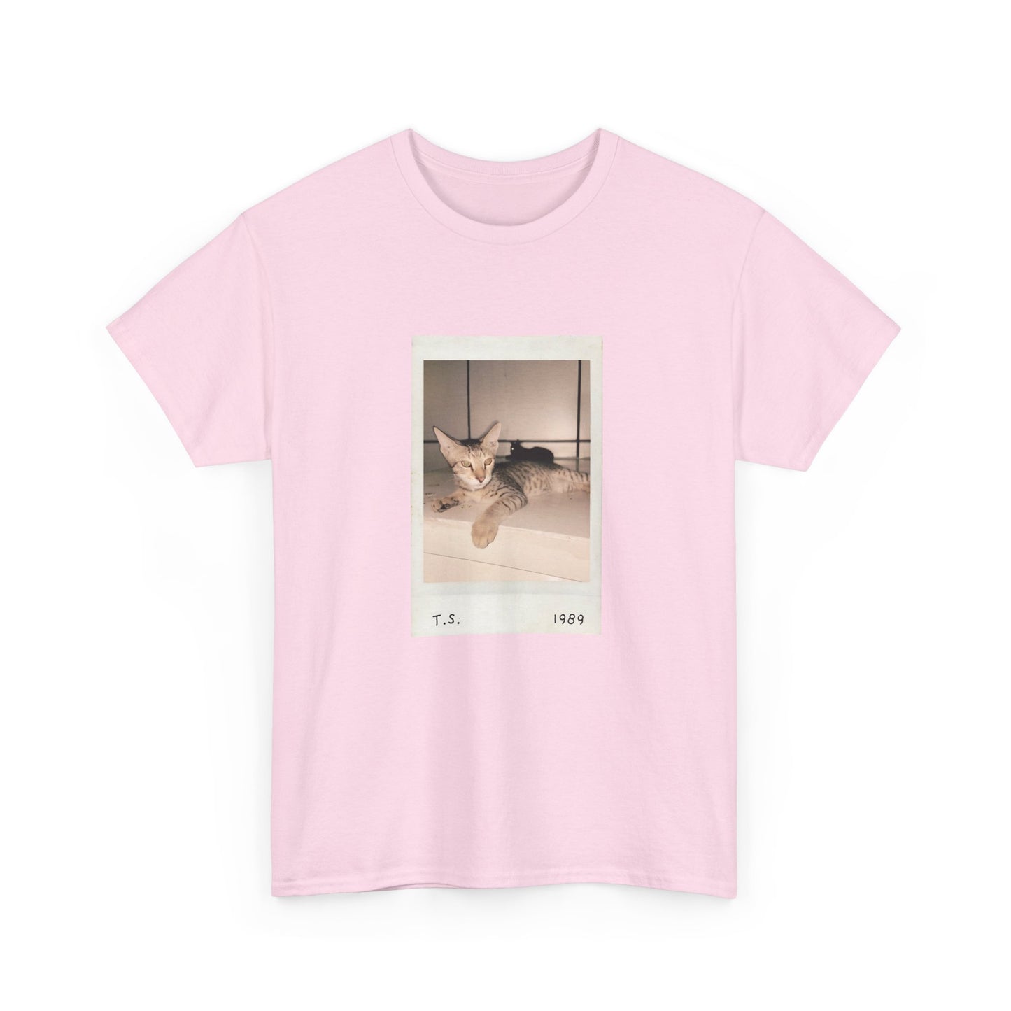 Retro Cat T-shirt | Vintage Pop Music Tee | Cat Lover Gift | Casual Aesthetic Apparel